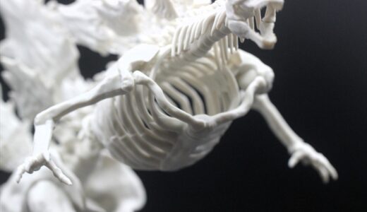 「ゴジラ(2024) from｢ゴジラxコング 新たなる帝国｣」レビューその1（骨格モデル）